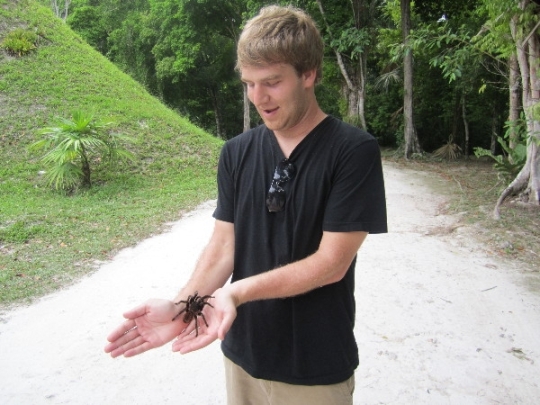Matt in Tikal National Park with a tarantula Matt in Tikal National Park with a tarantula
