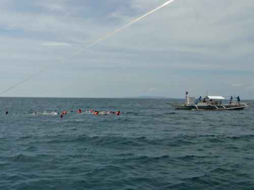 Snorkeling with whale sharks Whale Sharks Donsol, Philippines