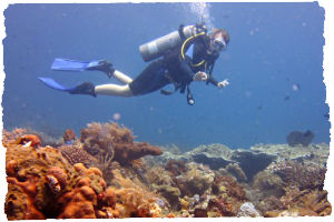 Thumbnail image for Diving in Tulamben – USS Liberty