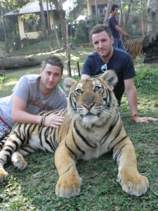 Tiger Kingdom Chiang Mai