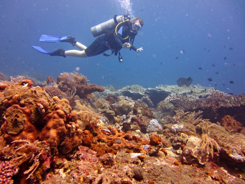 kubu dive site, Bali Liberty Dive Resort