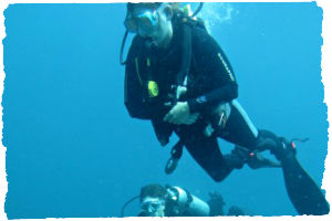 Thumbnail image for Reef Sharks in Padang Bai