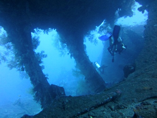 tulamben wreck 2 USS Liberty Wreck Tulamben