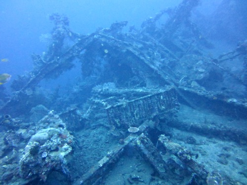 tulamben wreck Diving in Tulamben, Bali