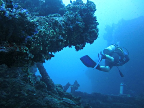 tulamben wreck Liberty Dive Resort Tulamben