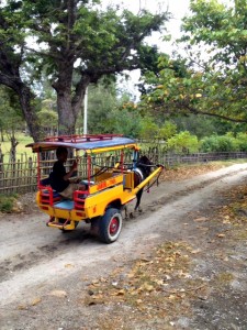 Transport Gili Gili Trawangan