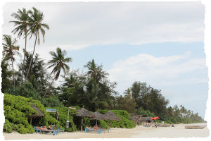 Thumbnail image for Island paradise: Matemwe Beach, Zanzibar