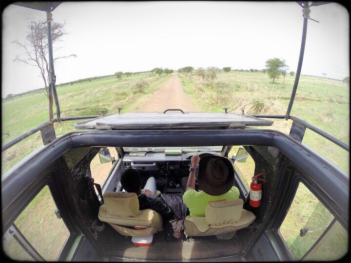 View from our safari truck 