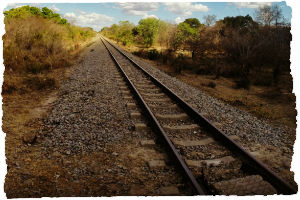 Thumbnail image for Travelling in Tanzania: Your transport options