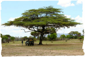 Thumbnail image for Selous Game Reserve – A Different Safari Choice